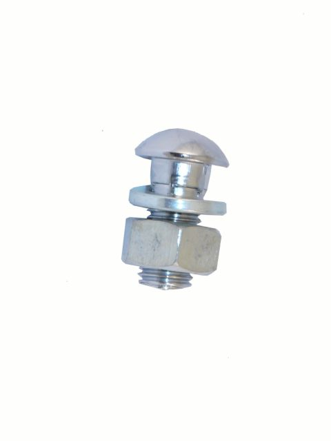 Chrome Bumper Bolt (Traveller)  PAN119AE