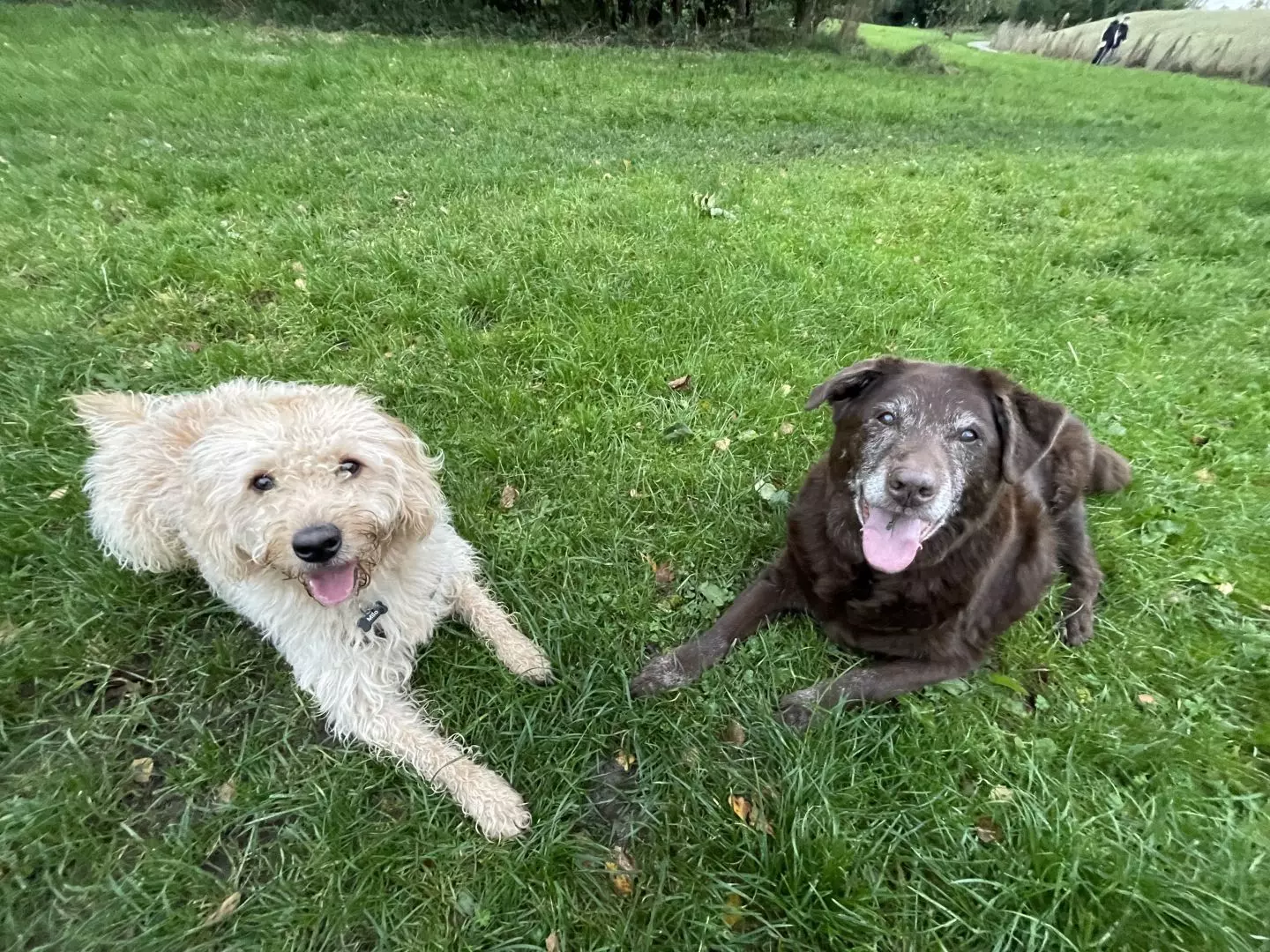 Organic Long Sleeve T-Shirt